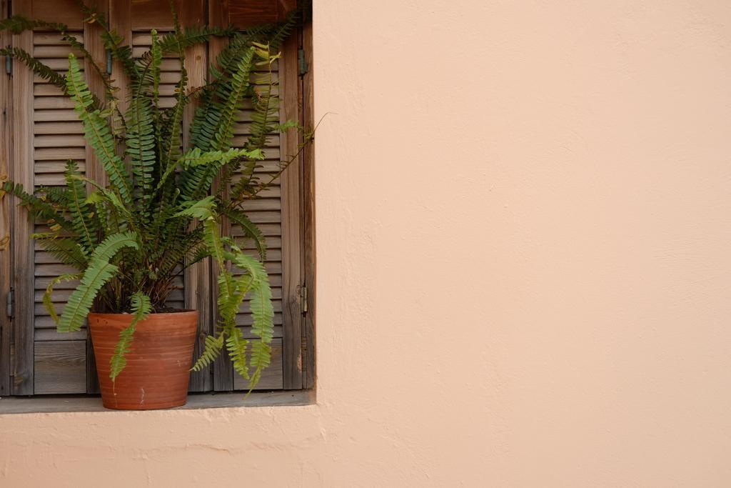 Fivos Pension Chania  Buitenkant foto